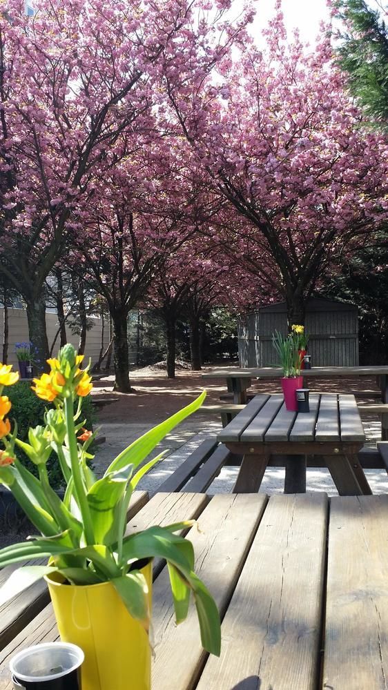 Premiere Classe Montreuil Montreuil  Esterno foto The courtyard at the school